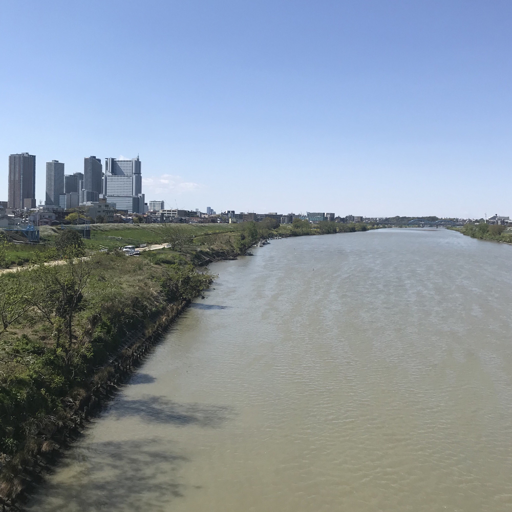 ハートの木にほっこりするジャスト6km！の写真4