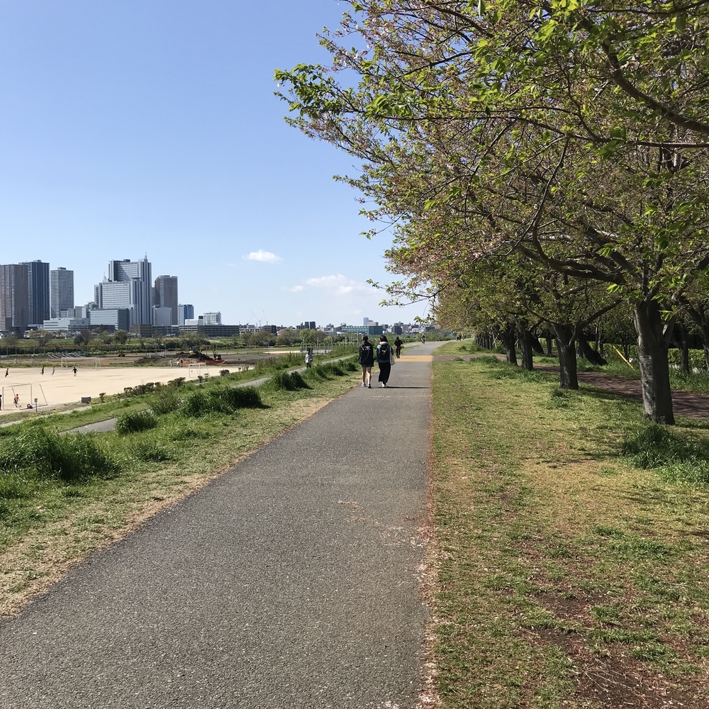 ハートの木にほっこりするジャスト6km！の写真5