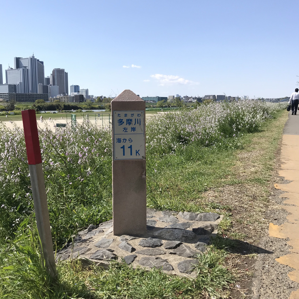 ハートの木にほっこりするジャスト6km！の写真6