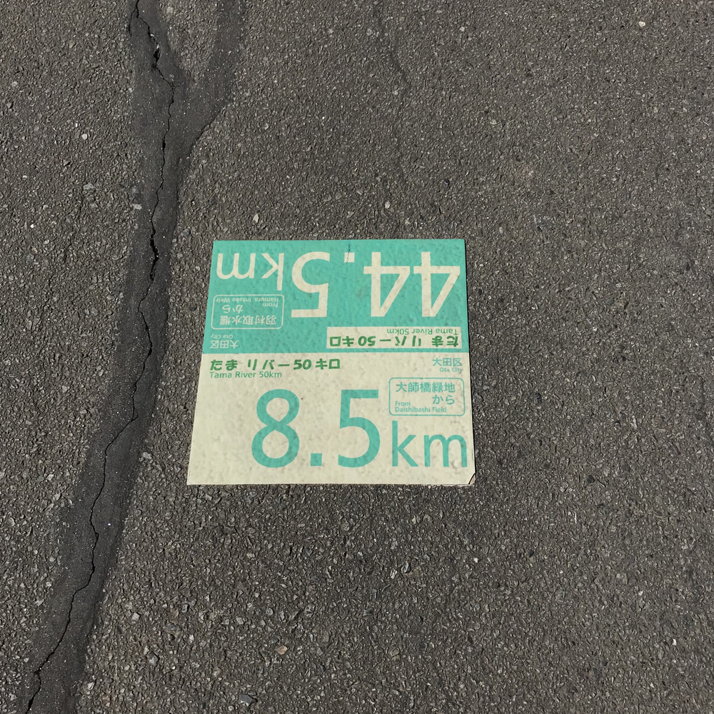 ハートの木にほっこりするジャスト6km！の写真7