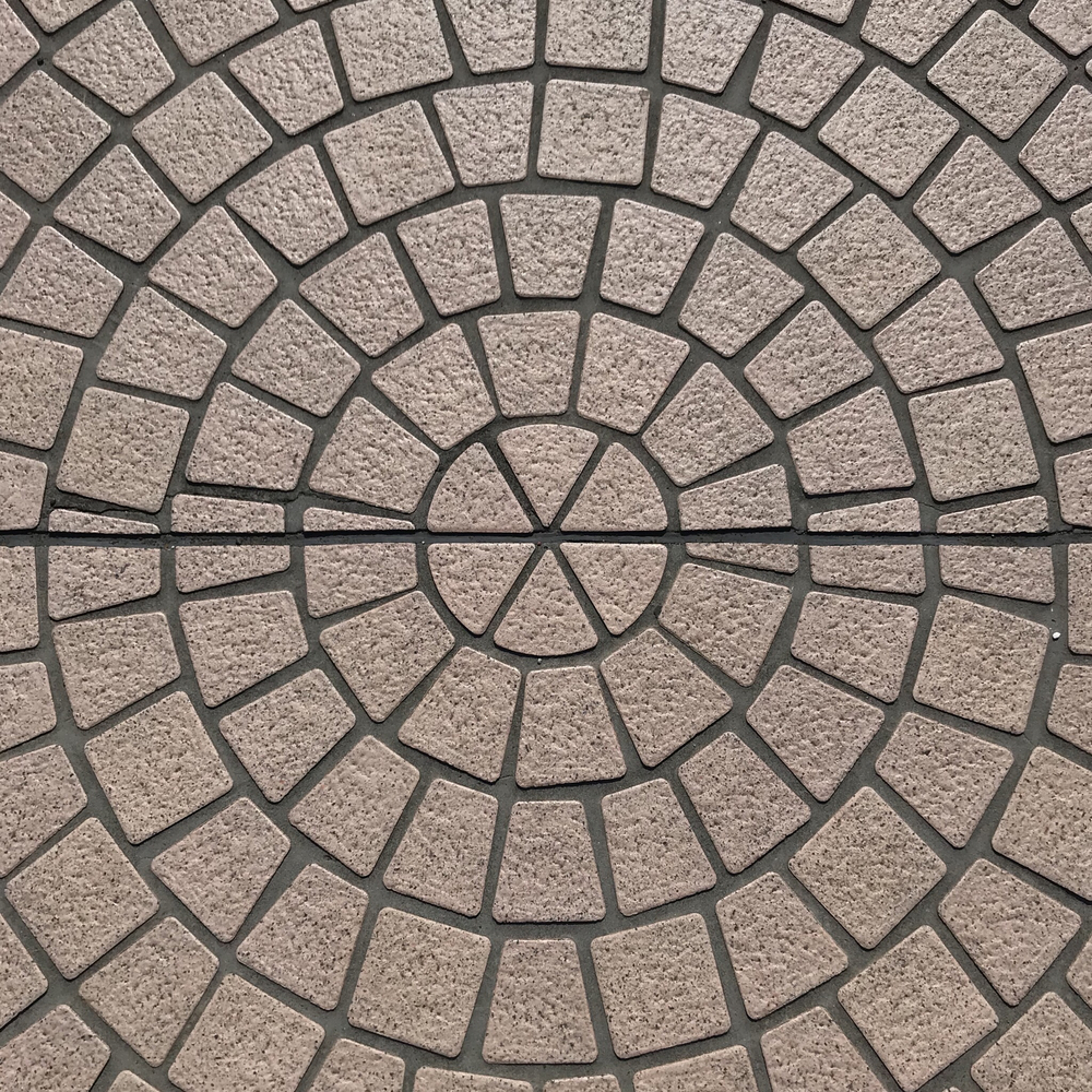 ハートの木にほっこりするジャスト6km！の写真15