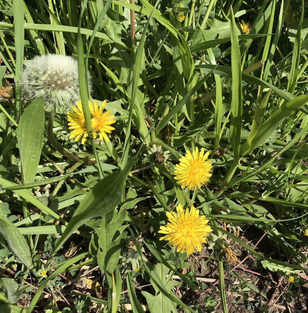 ハートの木にほっこりするジャスト6km！の写真18