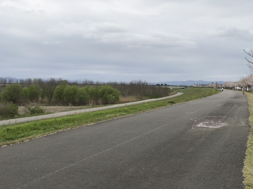 信濃川河川敷コース大回りの写真4