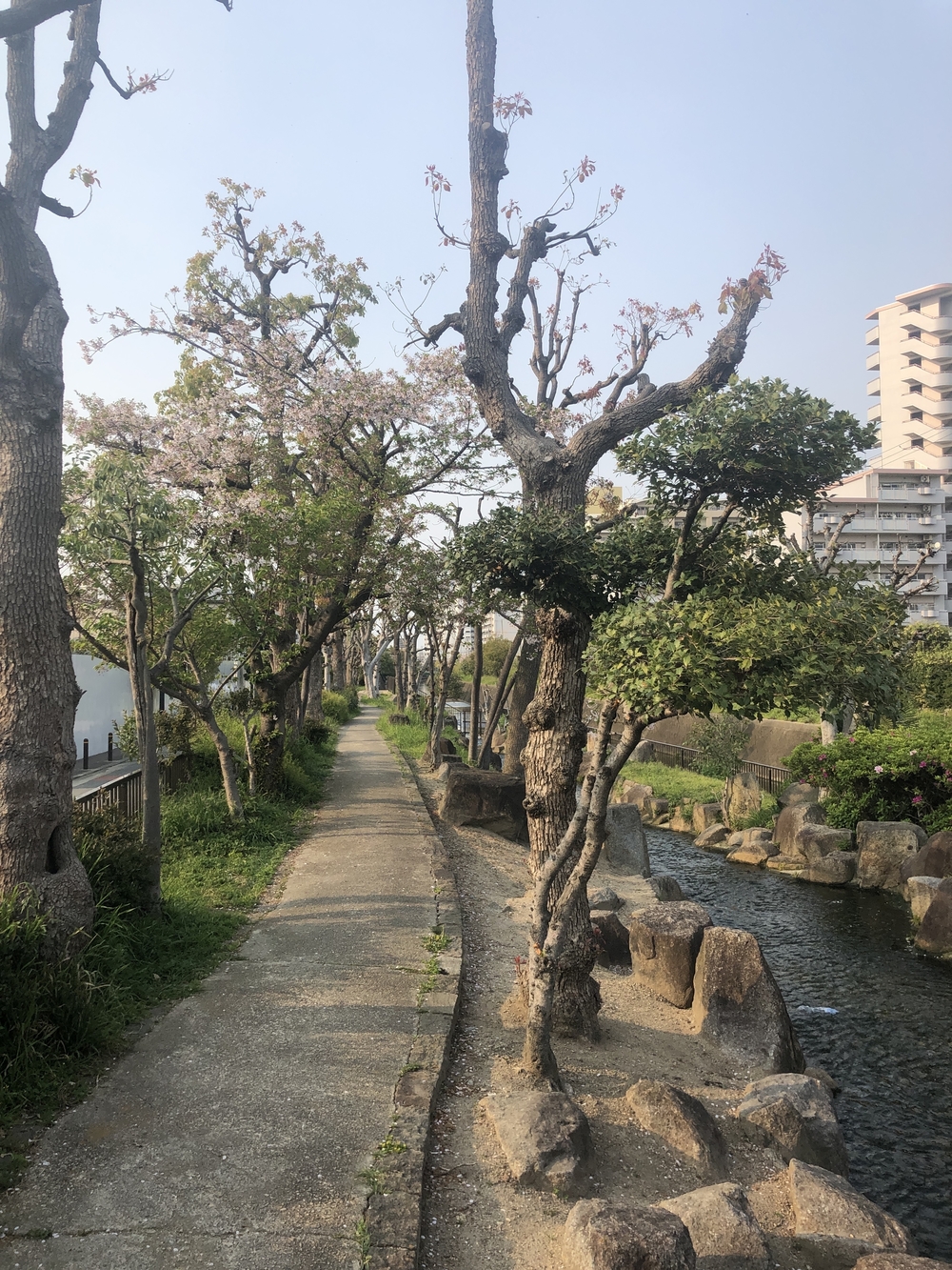 長居公園から今川緑道、あべのハルカス欲張り11km！の写真3