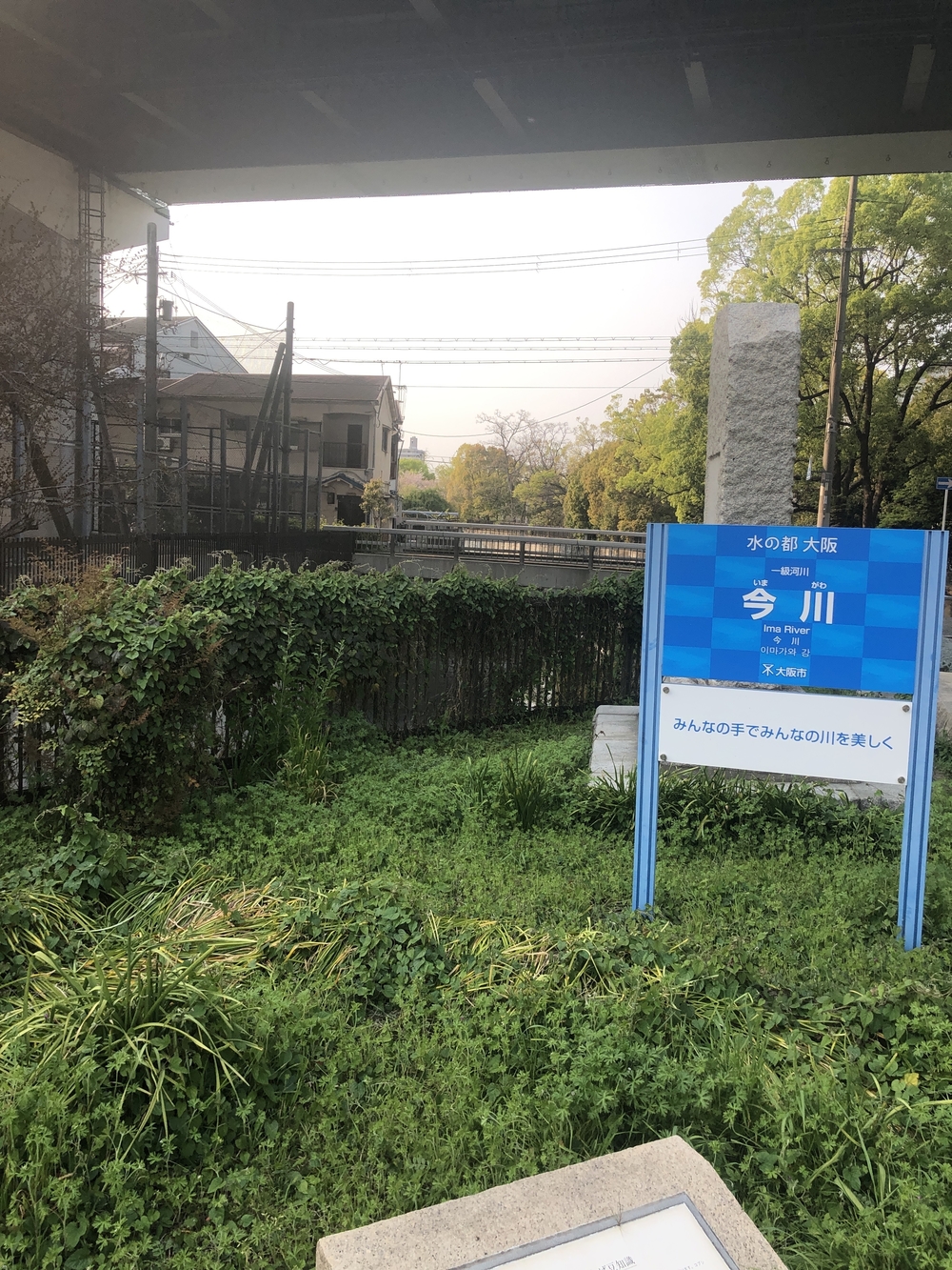 長居公園から今川緑道、あべのハルカス欲張り11km！の写真5