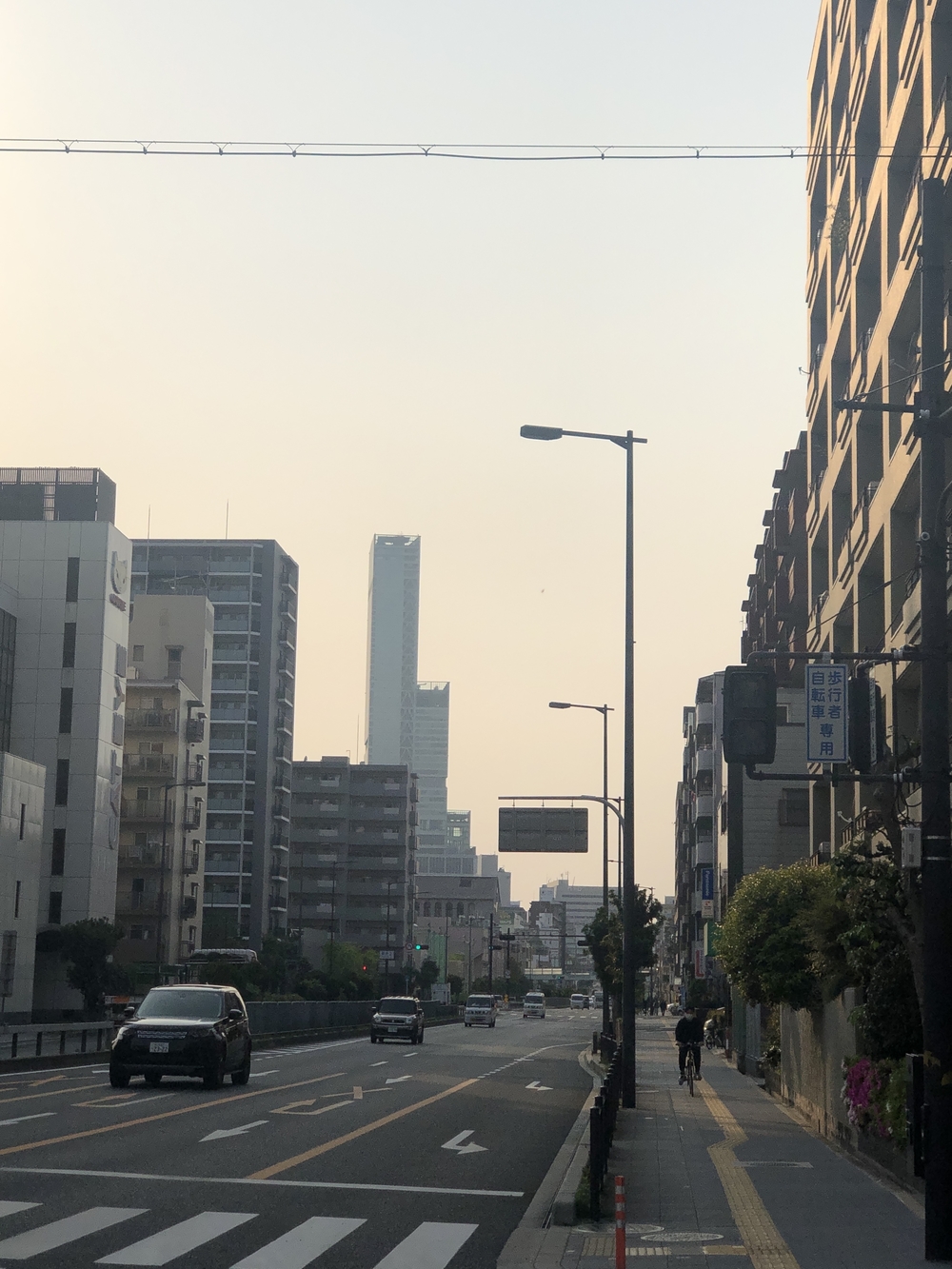 長居公園から今川緑道、あべのハルカス欲張り11km！の写真7