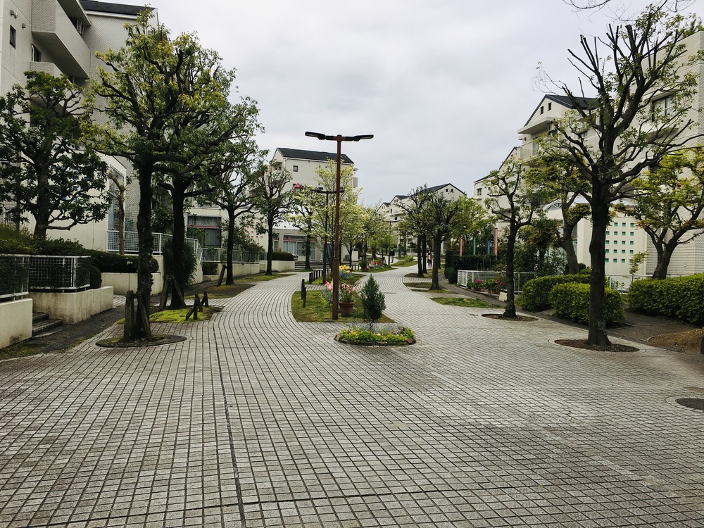 多摩川から多摩センターUpDown周回コースの写真10