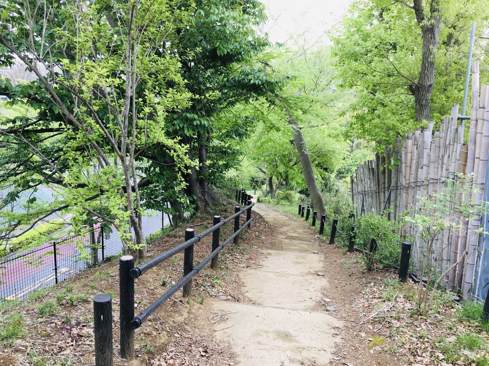 多摩川から多摩センターUpDown周回コースの写真11