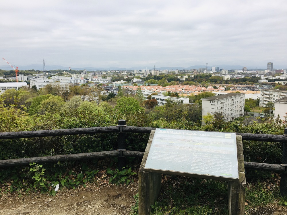 多摩川から多摩センターUpDown周回コースの写真12