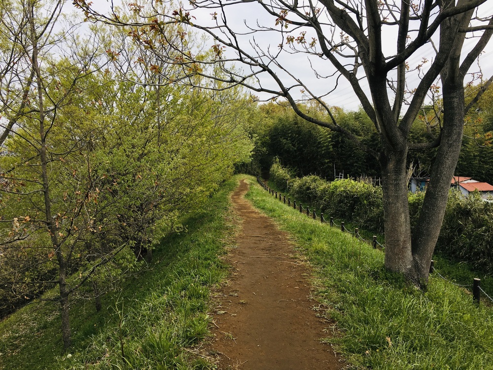多摩川から多摩センターUpDown周回コースの写真13