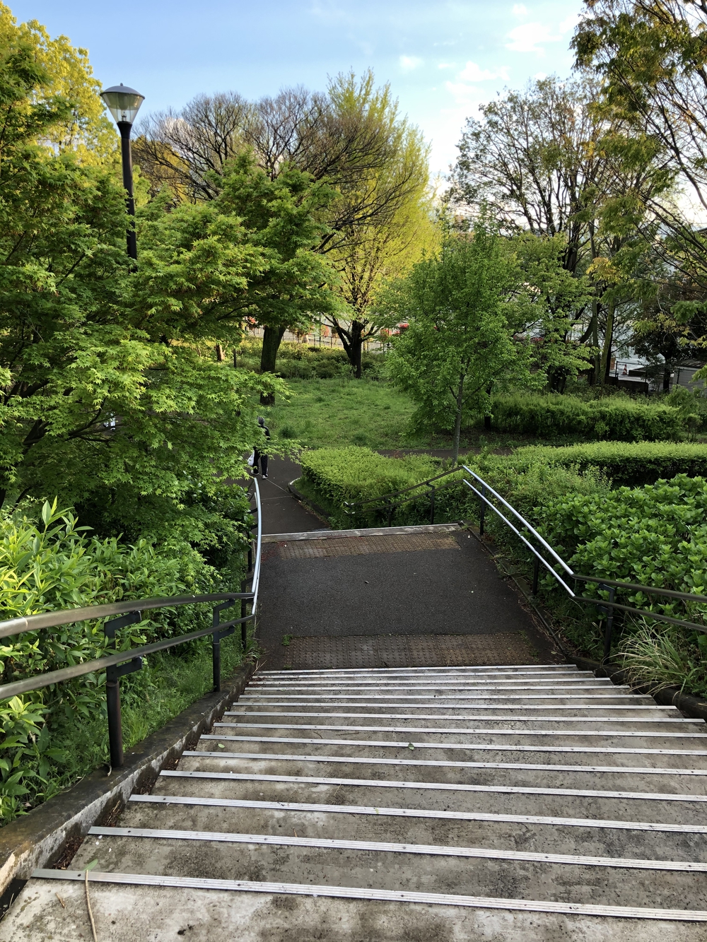 武蔵国分寺公園南周回コースの写真3