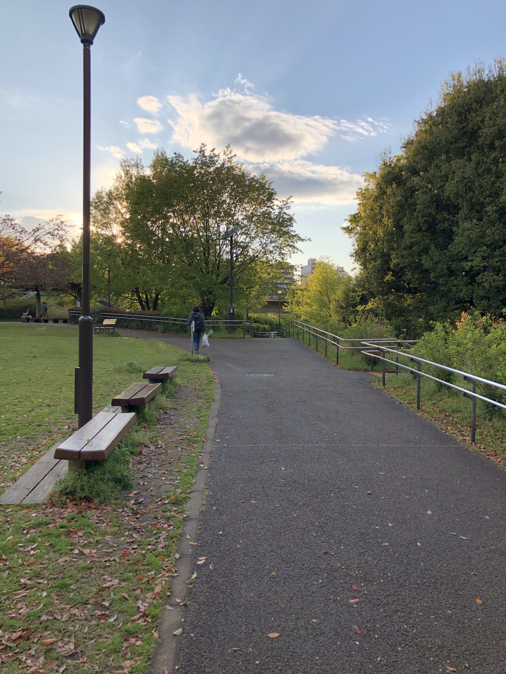 武蔵国分寺公園南周回コースの写真4