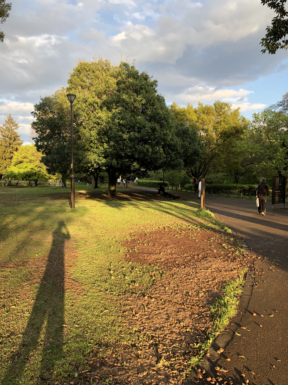 武蔵国分寺公園南周回コースの写真5