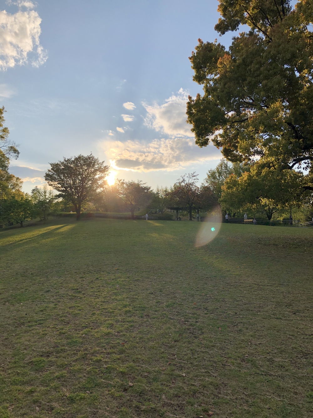 武蔵国分寺公園南周回コースの写真6