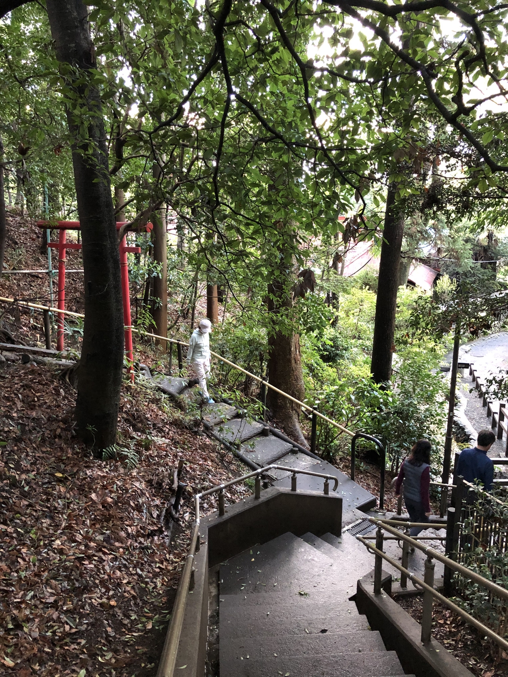 武蔵国分寺公園南周回コースの写真12