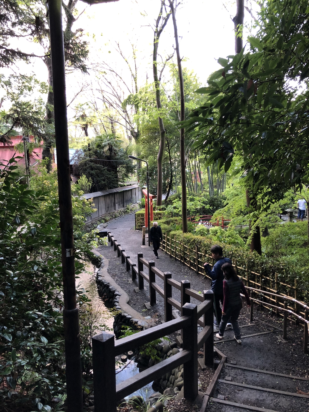 武蔵国分寺公園南周回コースの写真13