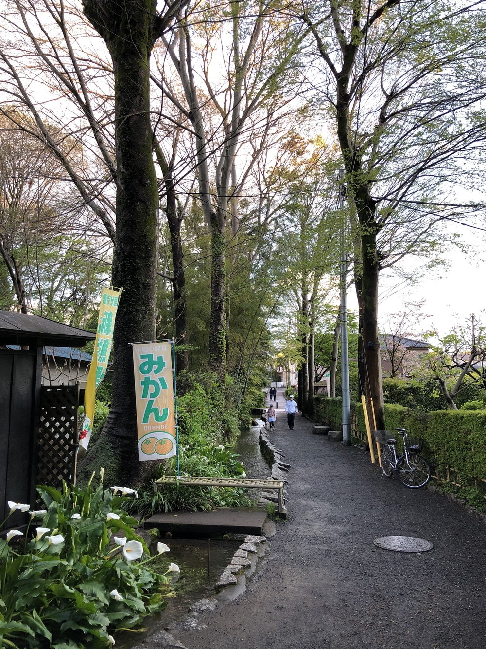 武蔵国分寺公園南周回コースの写真14