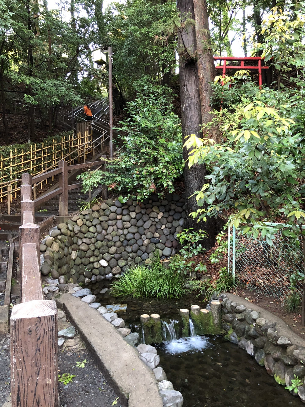 武蔵国分寺公園南周回コースの写真15