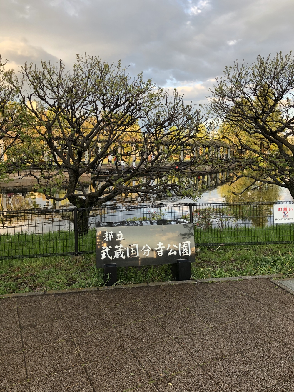 武蔵国分寺公園北側周回コースの写真3