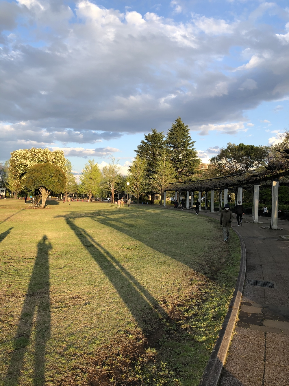 武蔵国分寺公園北側周回コースの写真4