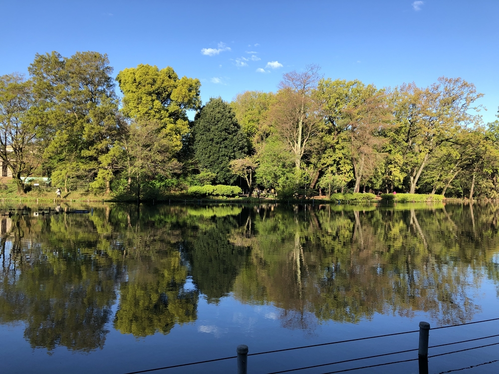 5つの公園を巡る杉並区・練馬区ラン31キロの写真5