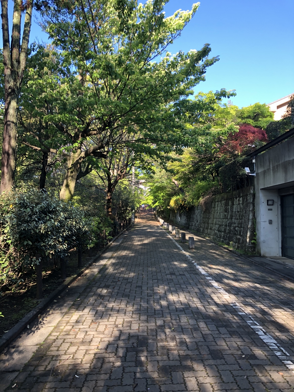 5つの公園を巡る杉並区・練馬区ラン31キロの写真7