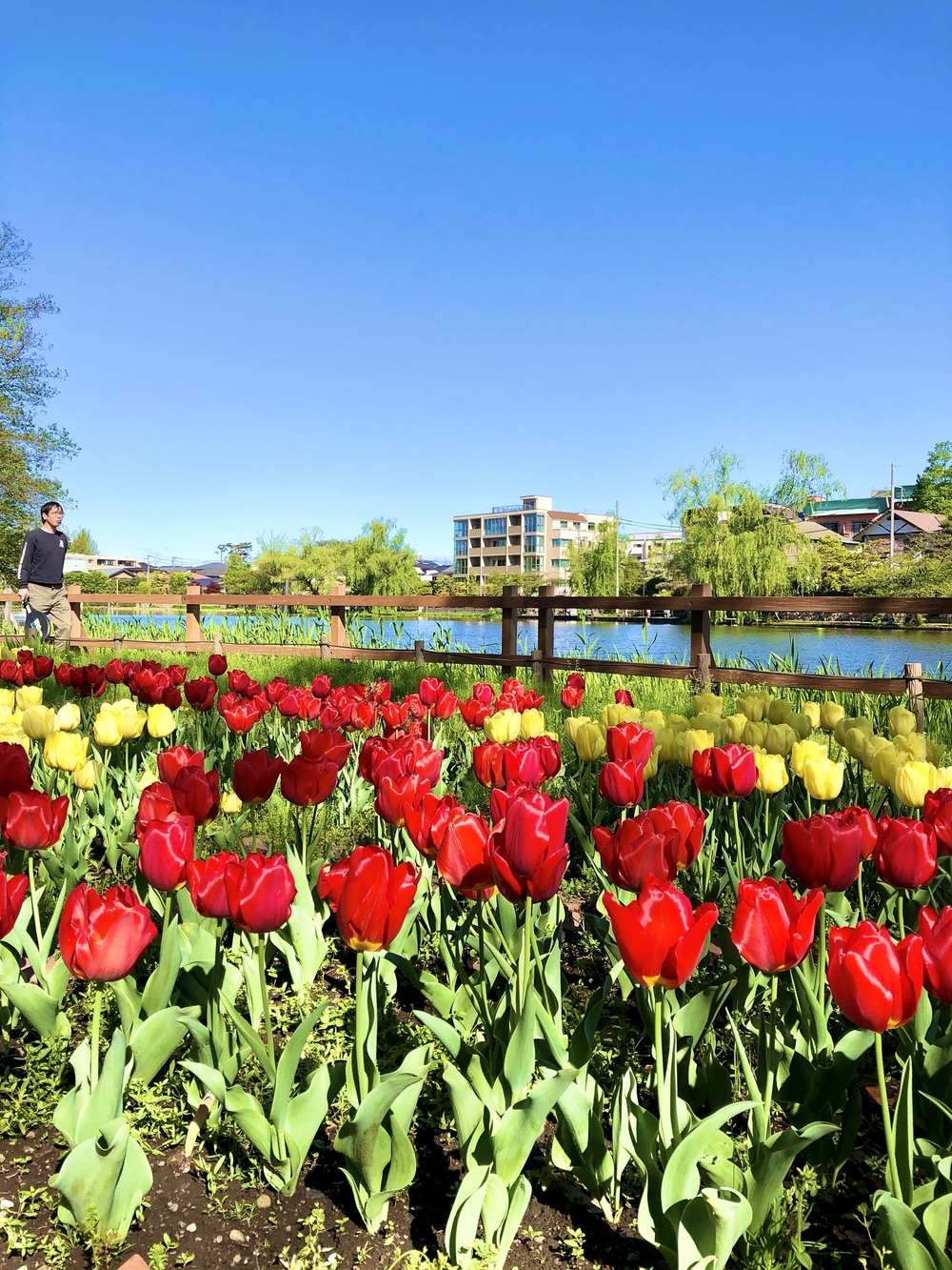 5つの公園を巡る杉並区・練馬区ラン31キロの写真10