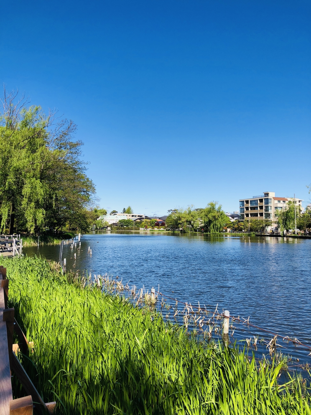 5つの公園を巡る杉並区・練馬区ラン31キロの写真11