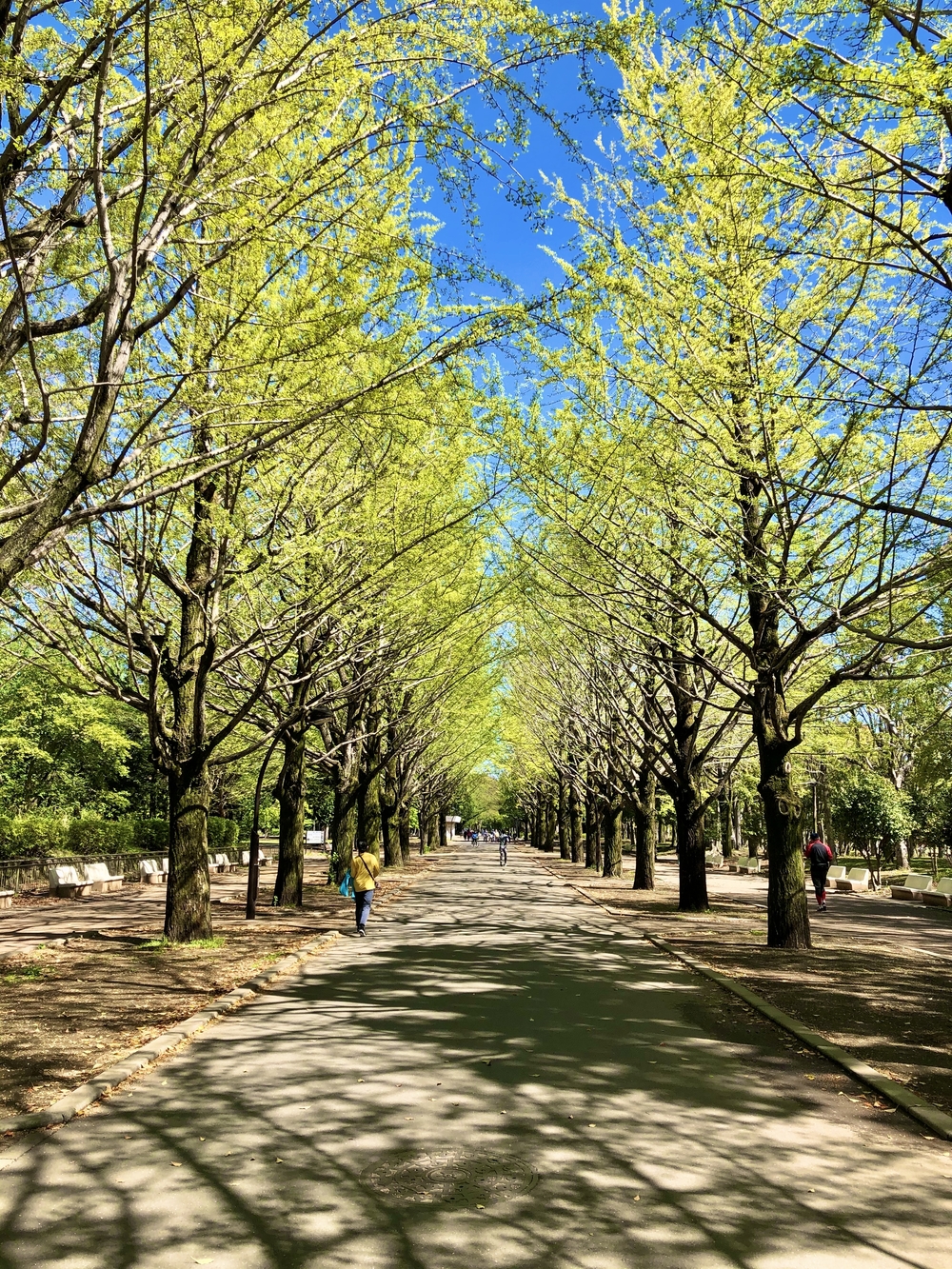 5つの公園を巡る杉並区・練馬区ラン31キロの写真13