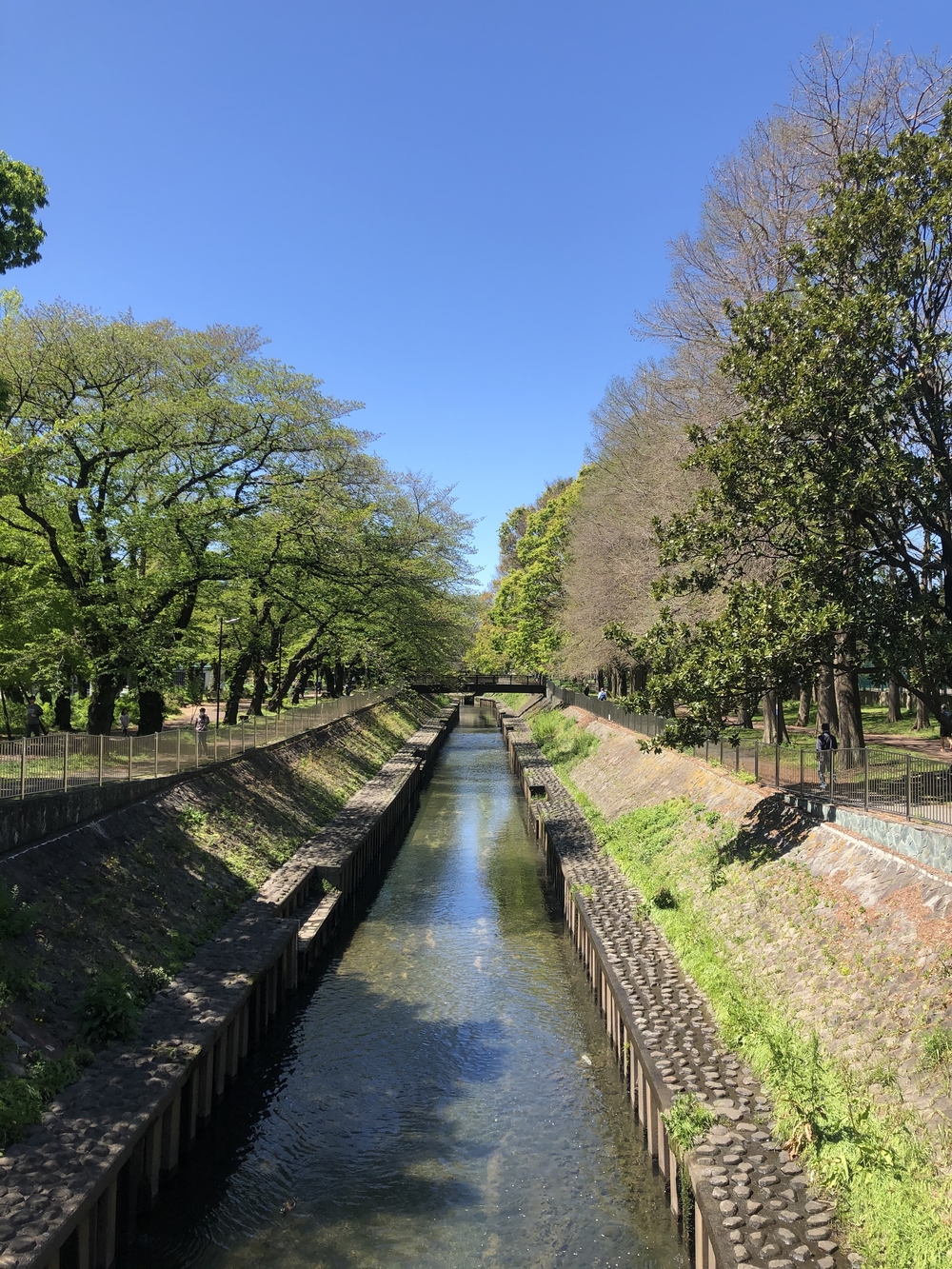 5つの公園を巡る杉並区・練馬区ラン31キロの写真16