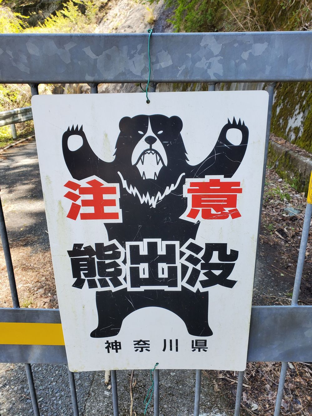 丹沢湖周回RUN🏃‍♂️🏃‍♀️💨の写真4