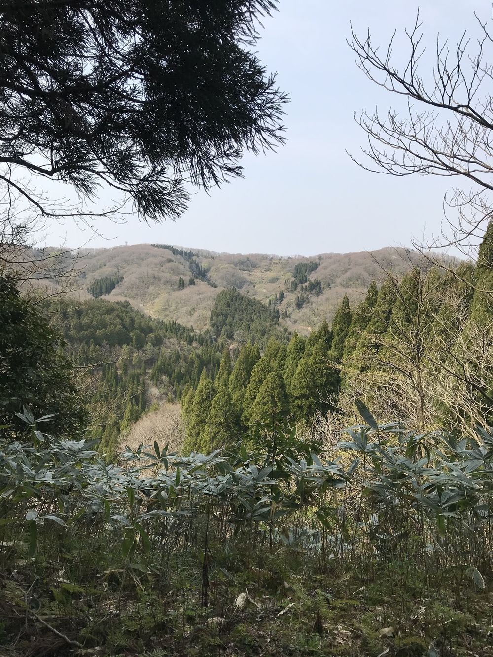 倶利伽羅、階段ラン。の写真4