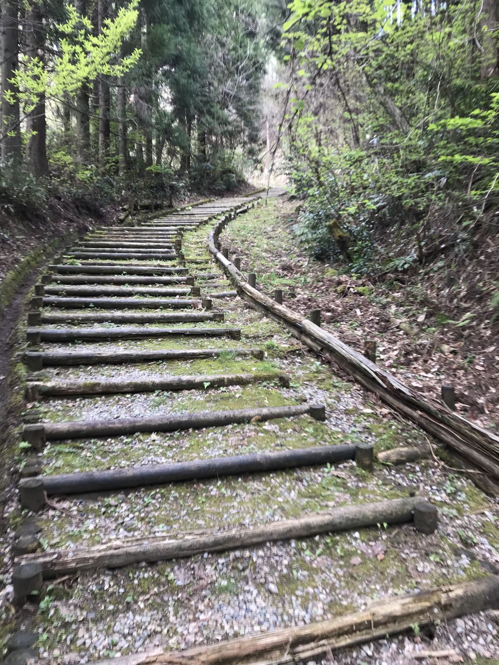 倶利伽羅、階段ラン。の写真6