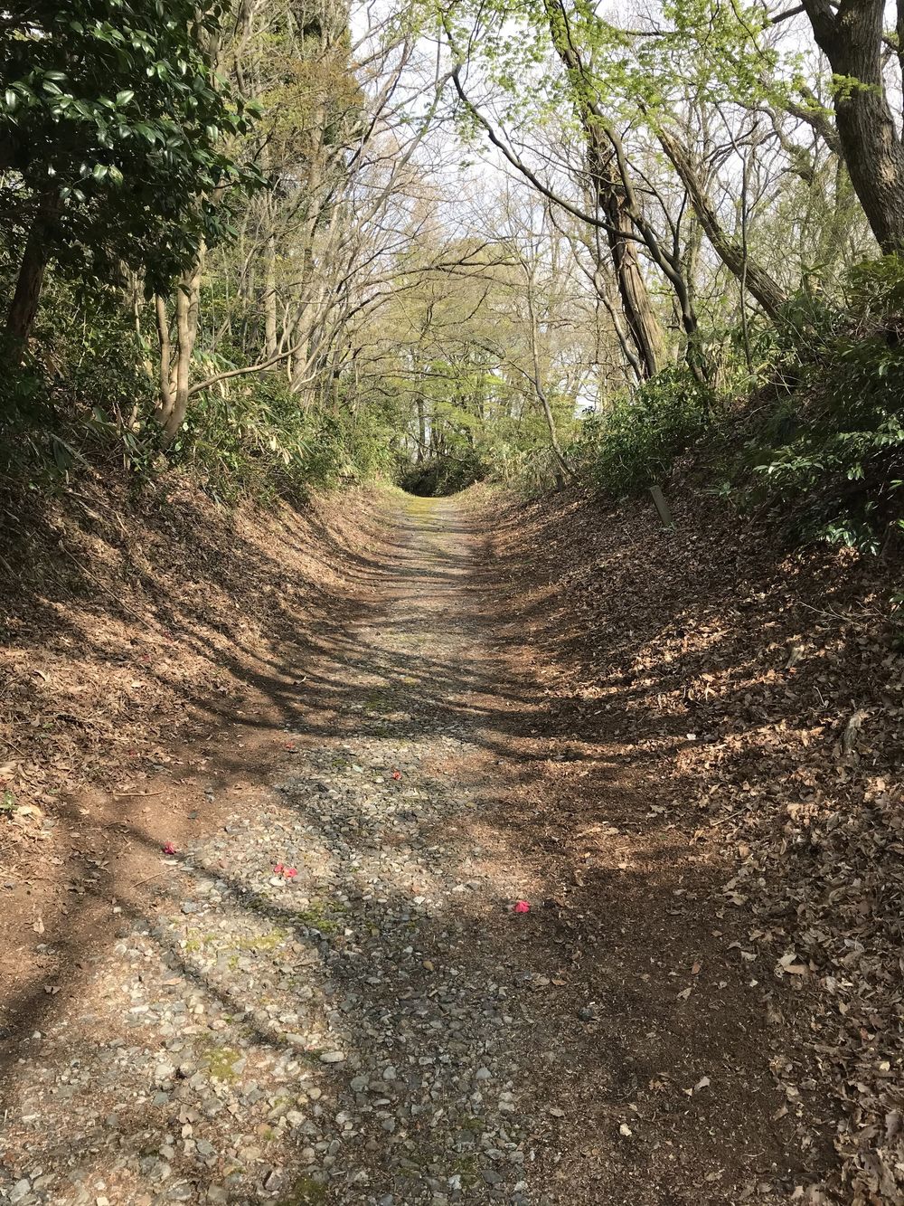 倶利伽羅、階段ラン。の写真8