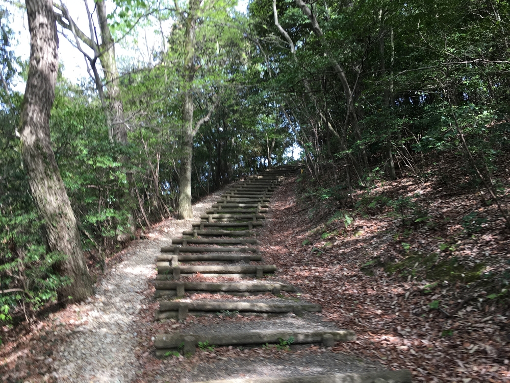 ドキドキ自然散策・ワクワク景色千差万別！小幡緑地公園本園コースの写真3