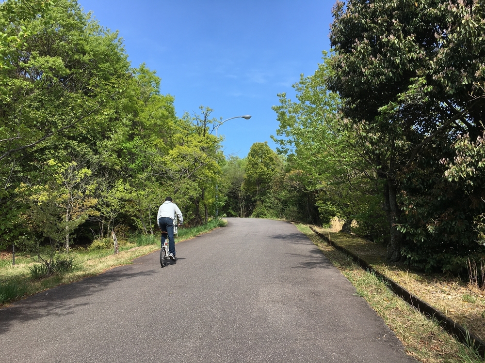 ドキドキ自然散策・ワクワク景色千差万別！小幡緑地公園本園コースの写真4