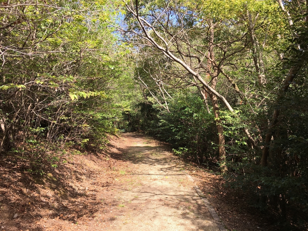ドキドキ自然散策・ワクワク景色千差万別！小幡緑地公園本園コースの写真5