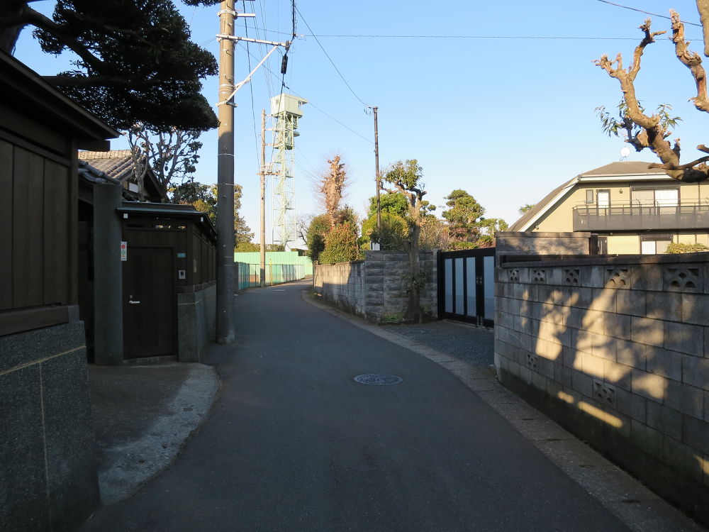 中山競馬場外周コースの写真4