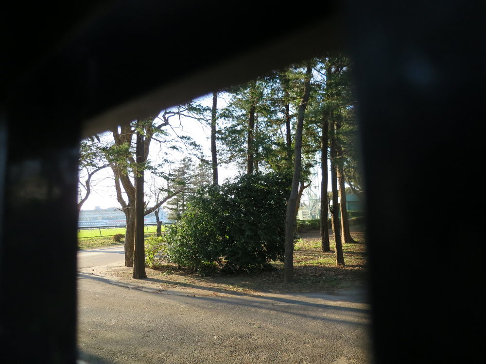 中山競馬場外周コースの写真9