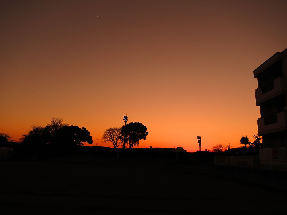 中山競馬場外周コースの写真10