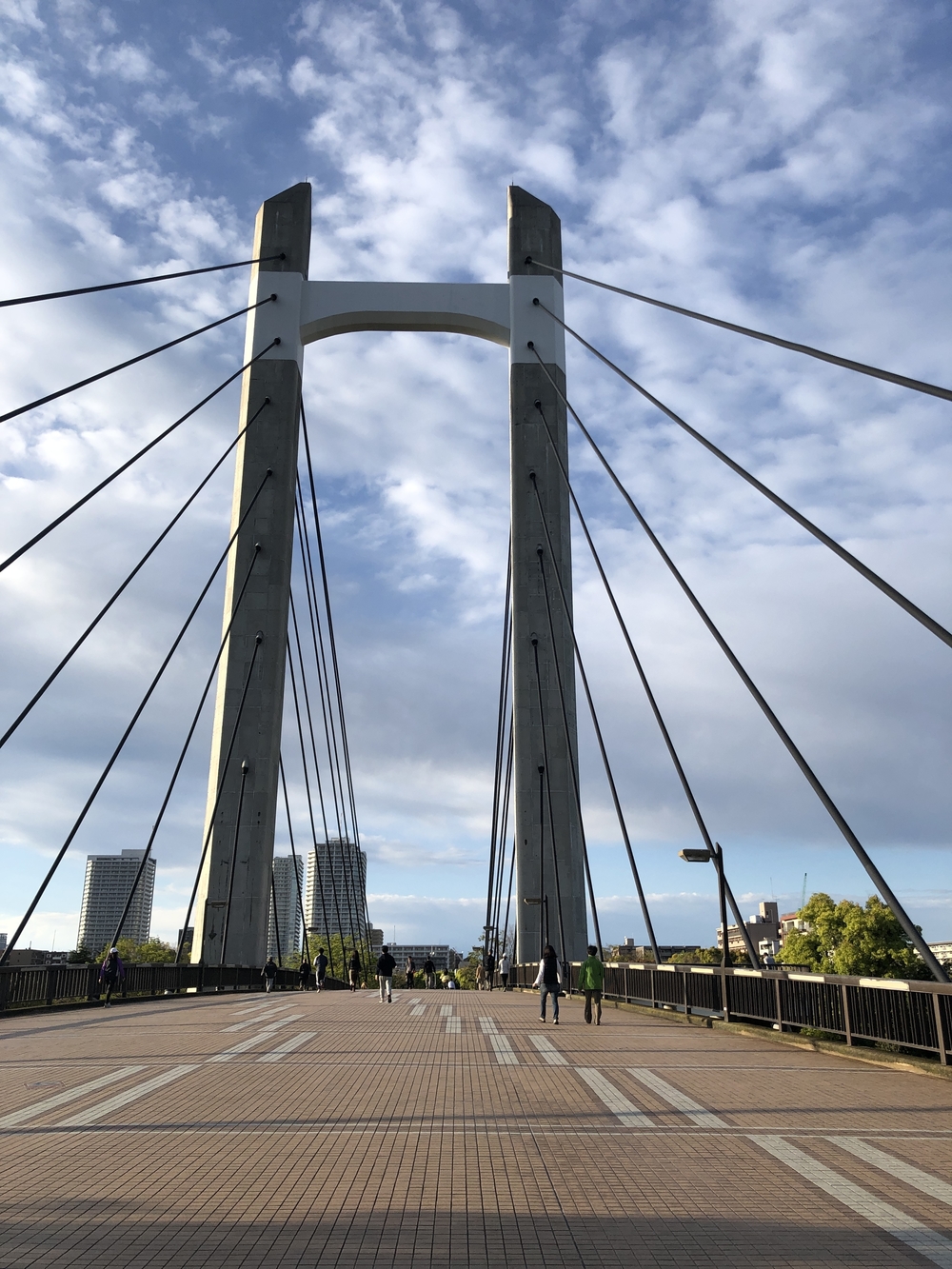 木場公園 周回コースの写真3