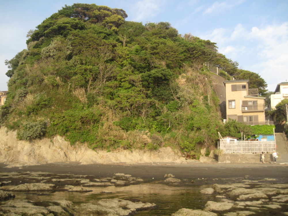 早朝の江ノ島爽やかコースの写真3