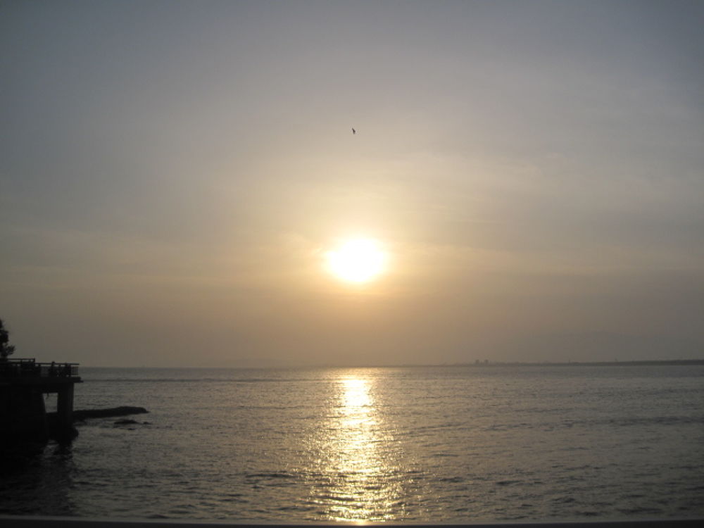 早朝の江ノ島爽やかコースの写真4