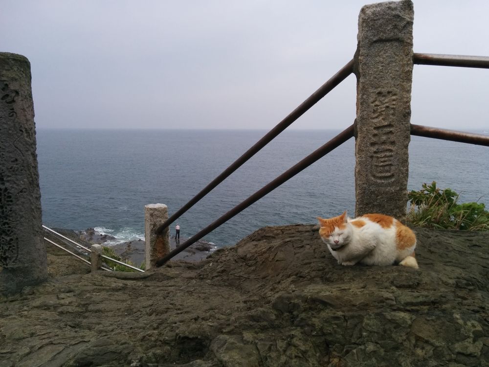 早朝の江ノ島爽やかコースの写真6