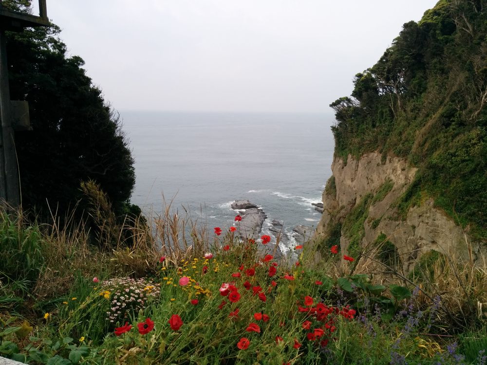 早朝の江ノ島爽やかコースの写真7