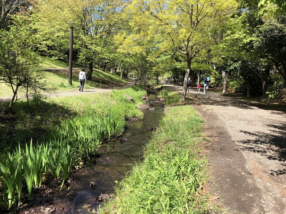 港北ニュータウン縦断ランの写真3