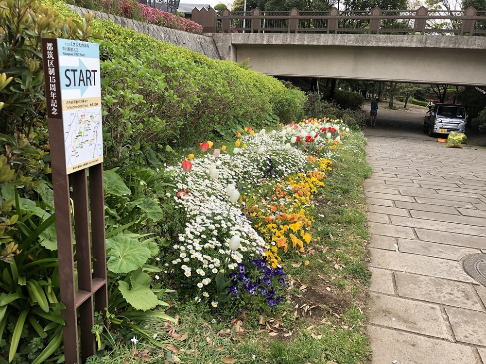 港北ニュータウン縦断ランの写真4