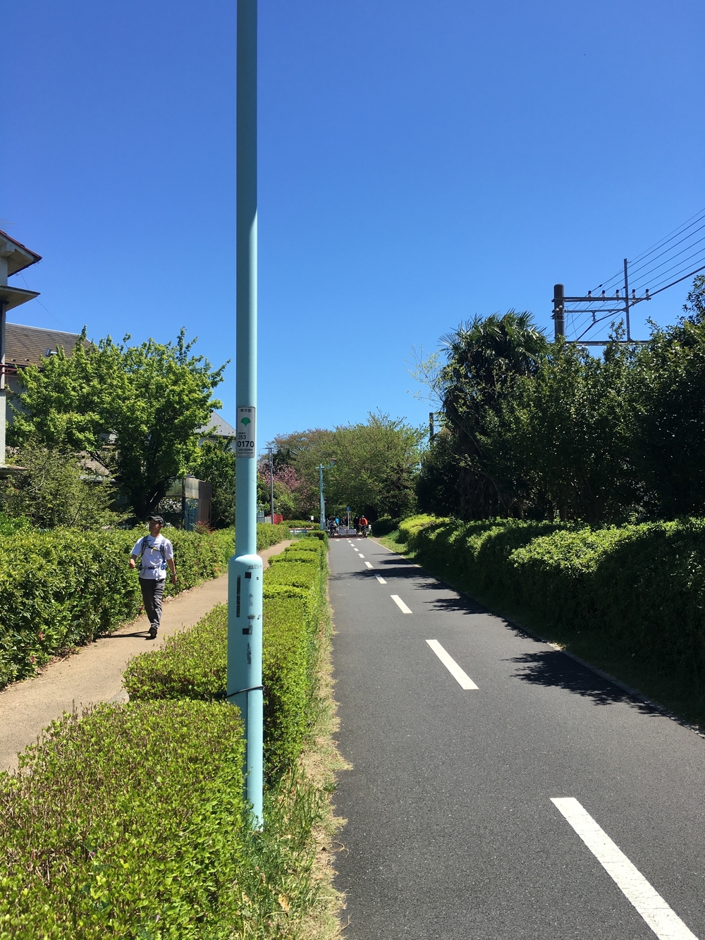 緑溢れる直線コース　多摩湖自転車歩行者道往復ほぼハーフの写真3