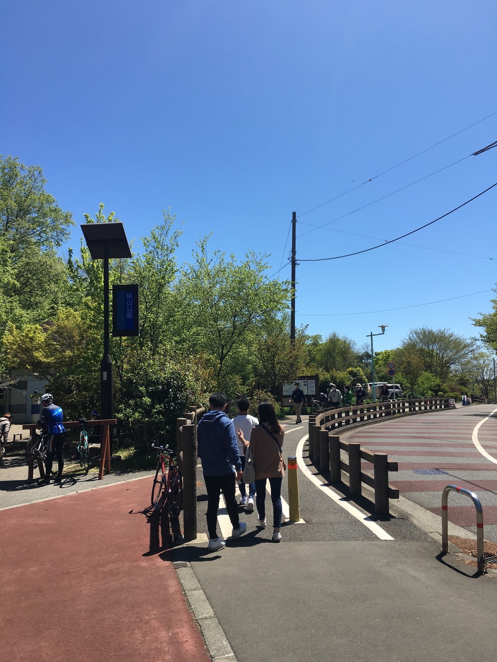 緑溢れる直線コース　多摩湖自転車歩行者道往復ほぼハーフの写真5