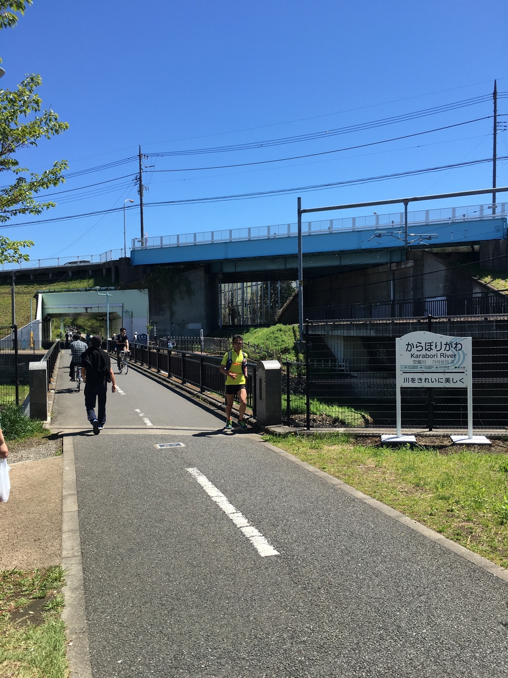 緑溢れる直線コース　多摩湖自転車歩行者道往復ほぼハーフの写真8
